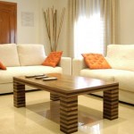 Upholstery Cleaning “Do It At Home” Tips