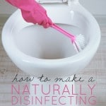 How To Make A Green Disinfecting Toilet Bowl Cleaner