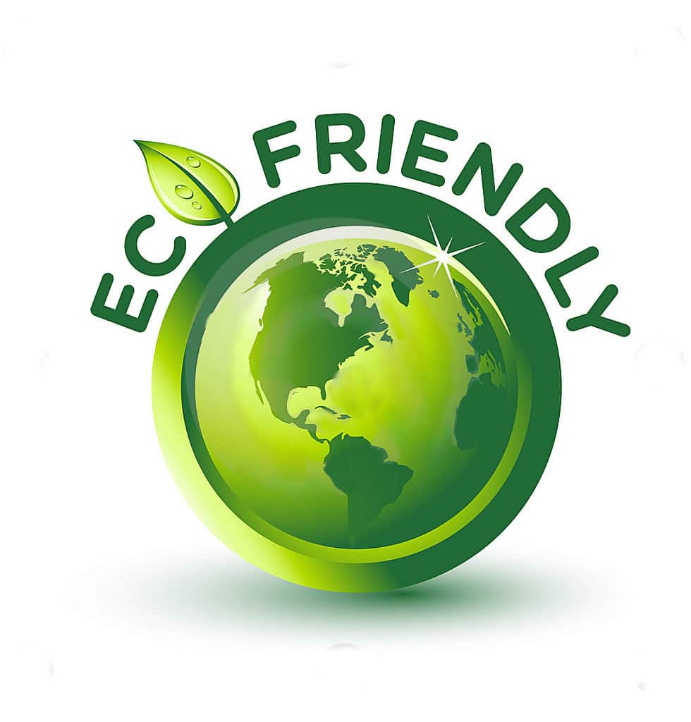 How do I know which cleaning products are the most environmentally  friendly?