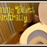 Green Cleaning Your Toilet At Home